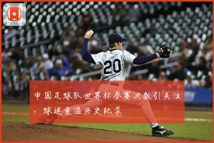 中国足球队世界杯参赛次数引关注,球迷重温历史纪录