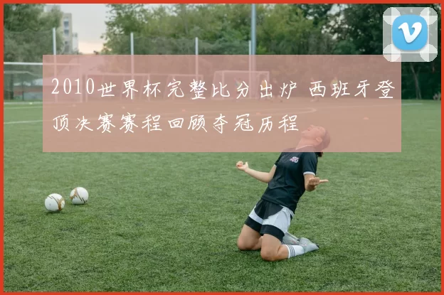 2010世界杯完整比分出炉 西班牙登顶决赛赛程回顾夺冠历程