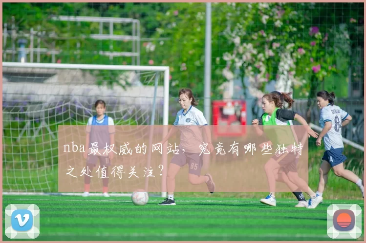 nba最权威的网站,究竟有哪些独特之处值得关注?